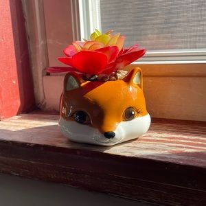Fake Fox Succulent